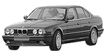 BMW E34 DF455 Fault Code